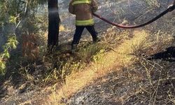 Ormana Sıçrayacaktı! Hassa'da Yangın Kontrol Altında