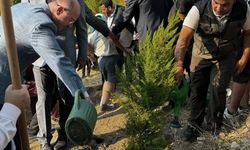 Osmaniye'de 15 Temmuz Anısına Fidanlar Toprakla Buluştu