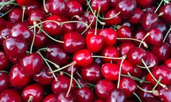 Saimbeyli Kirazı Yaz Sezonunda Pazarın Gözdesi Oldu