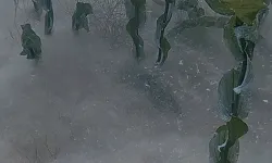 Sapanca Gölü’ndeki pamuksu oluşum incelemeye alındı