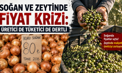 Soğan ve Zeytinde Fiyat Krizi: Üretici de Tüketici de Dertli