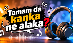 "Tamam da Kanka Ne Alaka" Şarkısı Nedir?