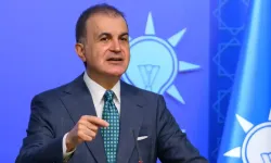 Ömer Çelik'ten AP Kararına TSK Tepkisi