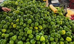İstanbul'da Yeşil Biberin Kilosu 80 TL'ye Ulaştı
