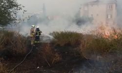 Hassa, İskenderun ve 4 İlçede Yangın!