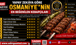 Yapay Zekâya Göre Osmaniye'nin En Beğenilen Kebapçıları