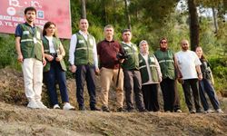 Yeşilay Gönüllülerinden 15 Temmuz Anısına Fidan Dikimi