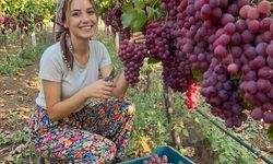 Yörük Kızı Üzüm Hasadından Renkli Kareler