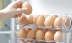 Osmaniye’de Yumurtayı Yıkayanlara Uzmanlardan Uyarı