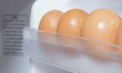 Yumurtayı Buzdolabı Kapağında Saklıyor Musunuz?