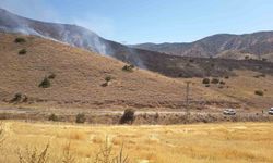 Elazığ'da Anız Yangını Büyümeden Kontrol Altına Alındı