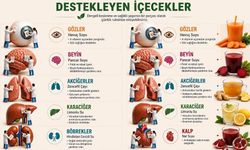 Osmaniye’de Organ Sağlığını Destekleyen İçecekler