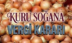 Kuru Soğan İthalatında Yüzde 5 Vergi Uzatıldı