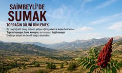 Saimbeyli’de sumak toprağın sunduğu fırsat
