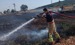 Hatay'da Anız Yangınlarına Karşı Kritik Uyarı