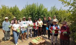 Antalya Tarımda ÇKS ve Biyolojik Mücadele Hamlesi