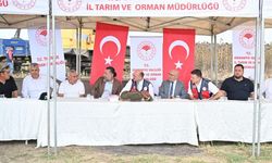 AK Parti İl Başkanı Mehmet Sadi Binboğa Hasada Katıldı