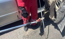 HBB İtfaiyesi Antakya ve Arsuz'da Yılanları Kurtardı