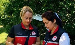 Demre ve Kumluca'da Meyve Sineğine Yakın Takip