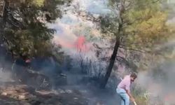Narlıca’da Ormanlık Alanda Yangın Çıktı!