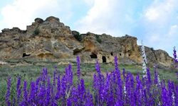 Gümüşhane’nin kayalara oyulan tarihi Çakırkaya Manastırı