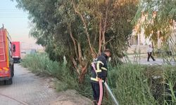 Hatay’da 4 ilçede yangınlar kontrol altına alındı