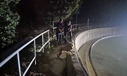 Hatay’da itfaiye ekipleri patili dostları kurtardı