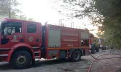 Yayladağı Barajı’nda orman yangını kontrol altında