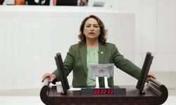 CHP Adana Milletvekili Müzeyyen Şevkin’den 41 soru