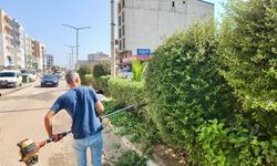 Hatay’da Su Sümbülleri İçin Temizlik Seferberliği
