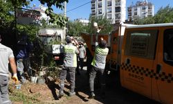 Antalya'daki bir evden 5 kamyon çöp çıkarıldı