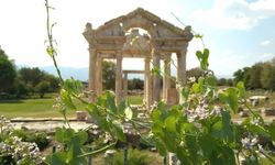 Aphrodisias’ın Binlerce Yıllık Tarihi: Antik Kentin Bilinmeyenleri
