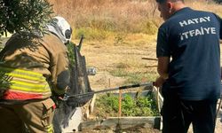Arsuz ve Defne’de Yılanlara İtfaiye Müdahalesi
