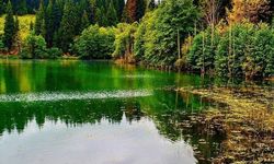 Artvin Şavşat Karagöl’de Doğayla Huzur Buluşuyor