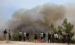 Aydın Çine'deki Yangında Kritik 3. Gün! Çevre İllerden Destek Geldi