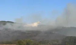 Balıkesir ve Malatya'da Orman Yangını!