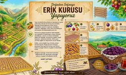 Osmaniye'de Erik Kurusu Hazırlıkları Başladı