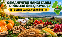 Osmaniye'de Hangi Tarım Ürünleri Öne Çıkıyor? İşte Kente Damga Vuran Üretim