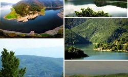 Düzce'de Hasanlar Baraj Gölü Doğaseverleri Büyülüyor