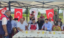 Düziçi’nde Ayçiçeği Hasadı “Bismillah”la Başladı