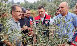 Osmaniye’de dolu yağışının ardından hasar tespit çalışmaları başlatıldı