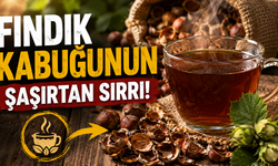 Fındık Kabuğunu Kaynatıp İçmek Hastalıkları Engelliyor Kanser Tedavisinde de Kullanılıyor