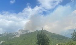 GÜNCELLEME 2 - Antalya'da çıkan orman yangınına müdahale ediliyor