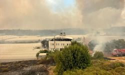 GÜNCELLEME 2 - Muğla'da başladıktan sonra Antalya'ya sıçrayan orman yangınına müdahale ediliyor