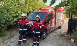Hatay’da Yılan Alarmı! İtfaiye Ekipleri Yılanları Zarar Vermeden Yakaladı
