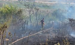 Hatay Antakya’da Sazlık Yangını Kısa Sürede Söndürüldü