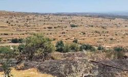 Hatay Defne’de Makilik Alan Yangını Kısa Sürede Söndürüldü