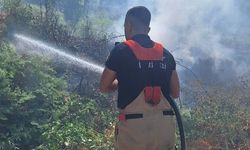 Hatay’da Üç İlçede Yangın Çıktı: Ekipler Hızla Müdahale Etti