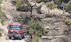 Kahramanmaraş'ta çıkan orman yangını kontrol altına alındı