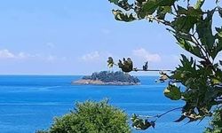 Karadeniz’in Tek Adası Giresun Adası Nerede?